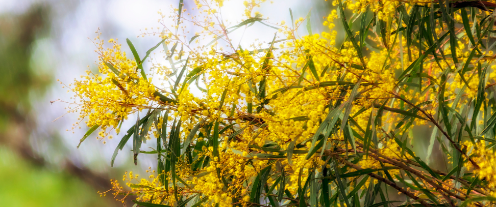 Featured image for “Message from the CEO – September 25”